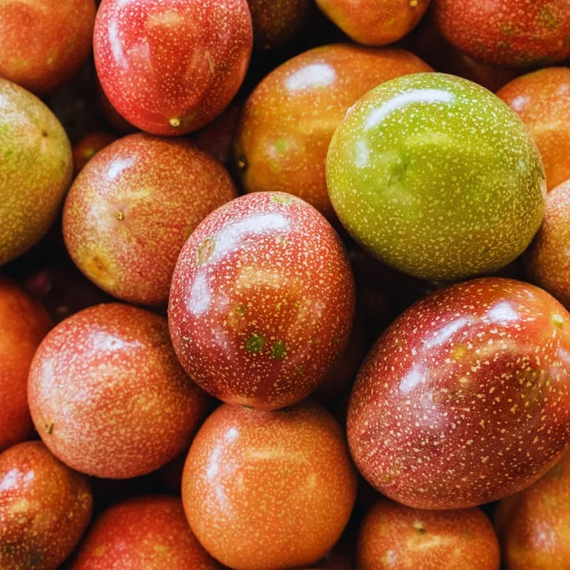 Purple Passion Fruit Live Plant - Edible Vine, Half Gallon Pot - Image 3