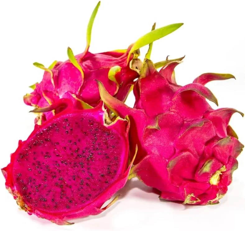 Red Dragon Fruit Tree Live Plant, 12" Tall, Quart Pot, Fast Growing Tropical Cactus - Image 7