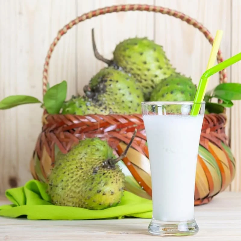 Soursop Live Plant, Guanabana Tropical Fruit Tree, 6-12 Inch Potted - Image 5