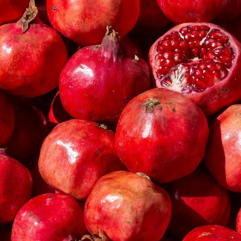 Sweet Pomegranate Live Plant - Fruit Tree, 4-7 Inches Tall, Indoor/Outdoor - Image 2