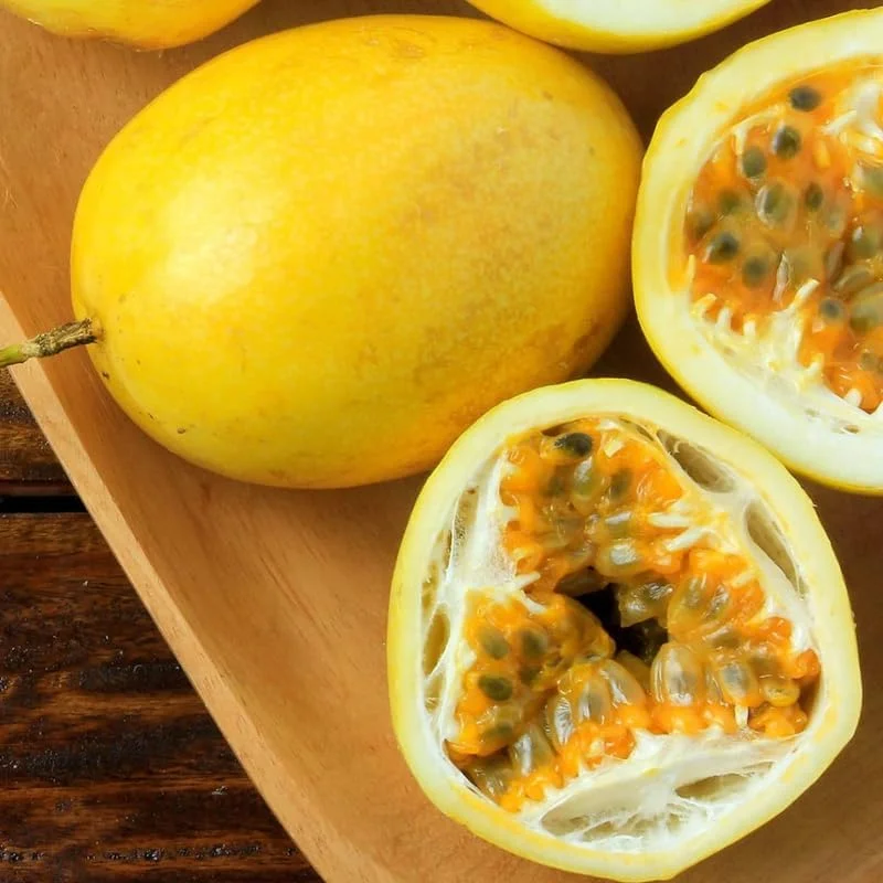 Yellow Passionfruit Live Plant - 5-8 Inch Tall Vine - Fruit Tree - Image 4