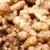 1 Lb Jerusalem Artichoke Tubers, Sunchokes Bulbs for Planting, Perennial Vegetable - Image 1