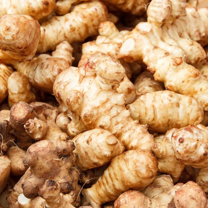1 Lb Jerusalem Artichoke Tubers, Sunchokes Bulbs for Planting, Perennial Vegetable - Image 1