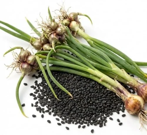 100 Walking Onion Seeds - Cold Hardy Perennial Tree Onions for Planting - Image 9