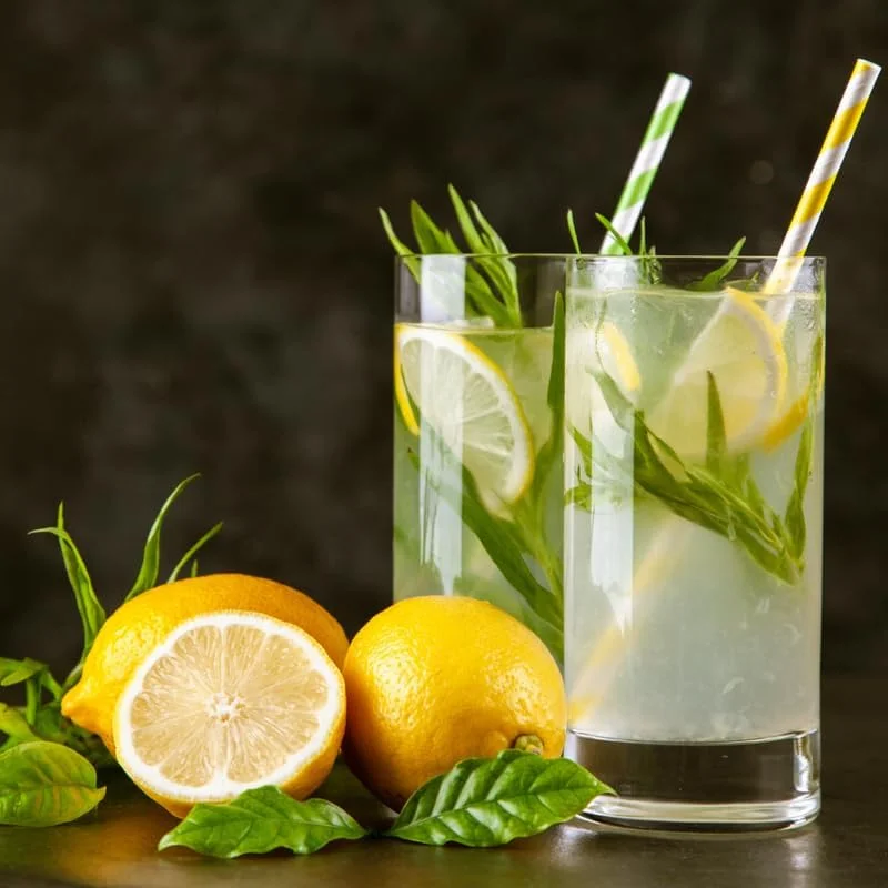 2 Tarragon Live Plants for Culinary Herb Garden - 4-9" Tall, Perennial, French - Image 5