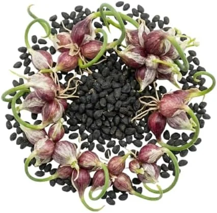 200 Walking Onion Seeds - Fast Growing, Cold Hardy Perennial Vegetable - Image 7