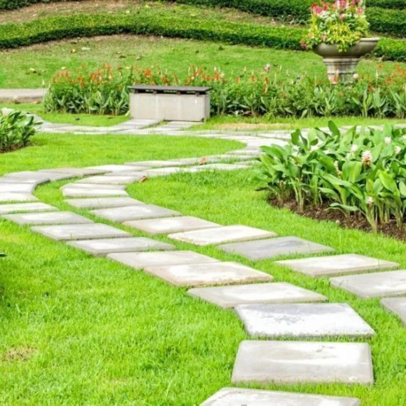 30000 Zoysia Grass Seeds - Hardy Lawn & Landscaping, Warm Season, USDA Zones 6-11 - Image 9