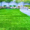 30000 Zoysia Grass Seeds - Hardy Lawn & Landscaping, Warm Season, USDA Zones 6-11 - Image 1