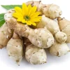 5 Jerusalem Artichoke Tubers for Planting - Fresh Sunchokes, Edible Roots, Perennial - Image 1