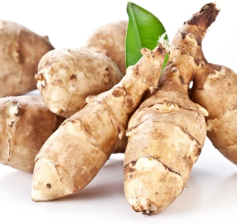 5 Large Jerusalem Artichoke Tubers for Planting - Hardy Edible Perennial Roots - Image 1