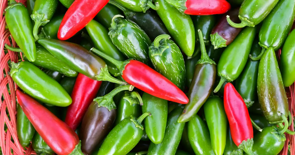 Master the Heat: 8 Expert Tips for Growing Jalapeños Like a Pro