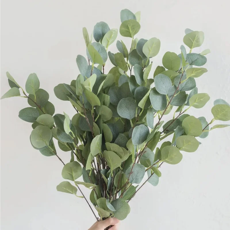 Baby Blue Eucalyptus Live Plant - Fragrant Silver-Blue Foliage, 2.5 Inch Pot, Indoor/Outdoor Starter Tree - Image 6