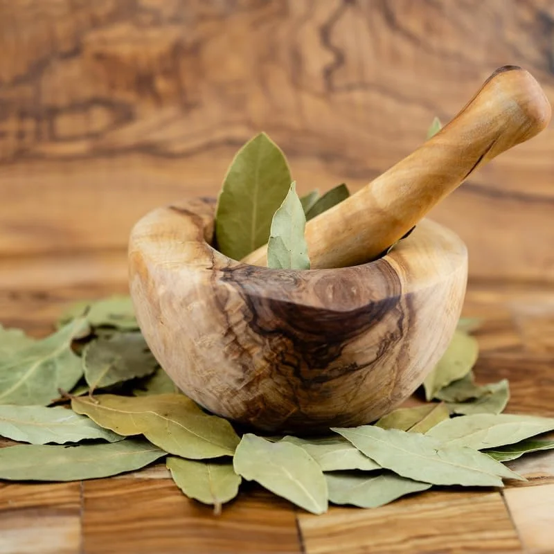 Bay Leaf Laurel Tree Live Plant 8-10" - Sweet Bay Laurus Nobilis for Culinary & Ornamental Use, Indoor/Outdoor - Image 4