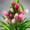 Pink Ginger Live Plant, 4-9 Inch Height - Tropical Hawaiian Flowers - Image 1