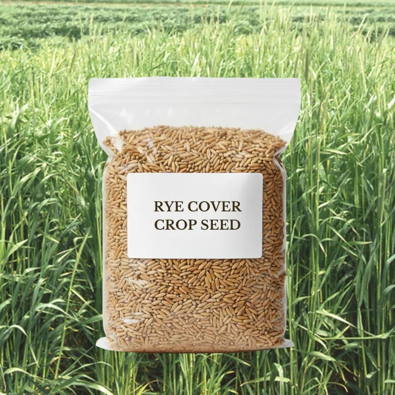 Rye Cover Crop Seeds 5 lb Bag - Fast Growing Annual Grass for Soil Improvement - Image 1