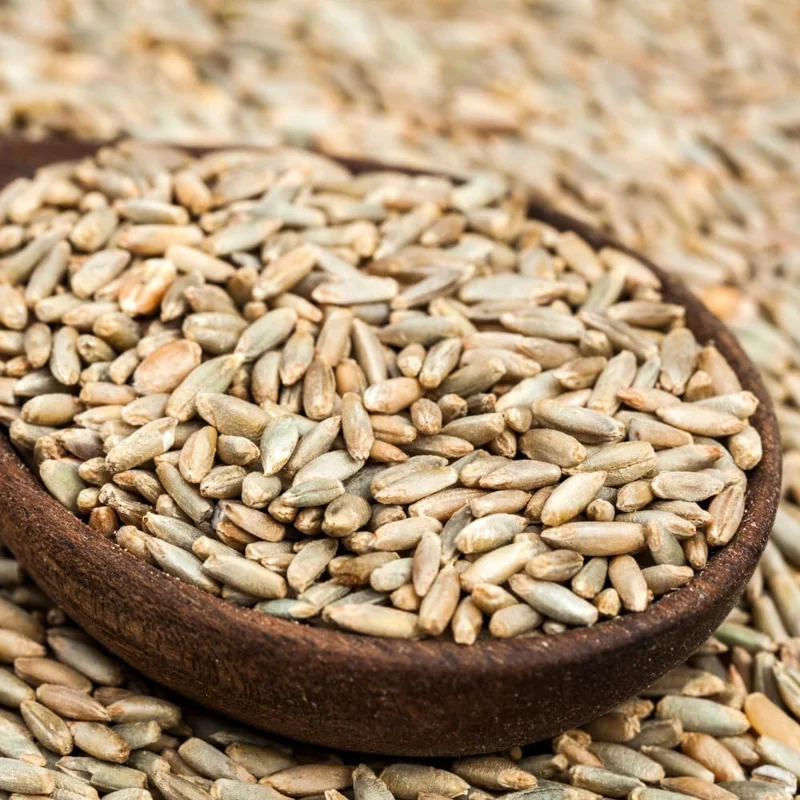 Rye Cover Crop Seeds 5 lb Bag - Fast Growing Annual Grass for Soil Improvement - Image 9