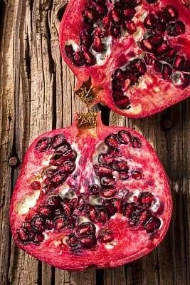 Sweet Pomegranate Tree Live Plant – 10-12" Tall – Fruit Bearing – Zone 8-11 - Image 6