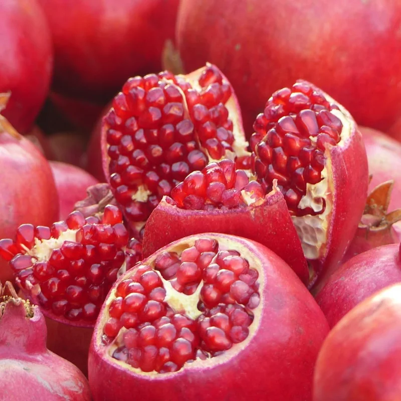 Sweet Red Pomegranate Live Plant - 1 Year Old Seedling in 4" Pot, Indoor/Outdoor - Image 4