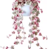 Variegated String of Hearts Live Plant - Ceropegia Woodii - 2.5" Pot - Indoor Trailing Succulent Vine - Image 1