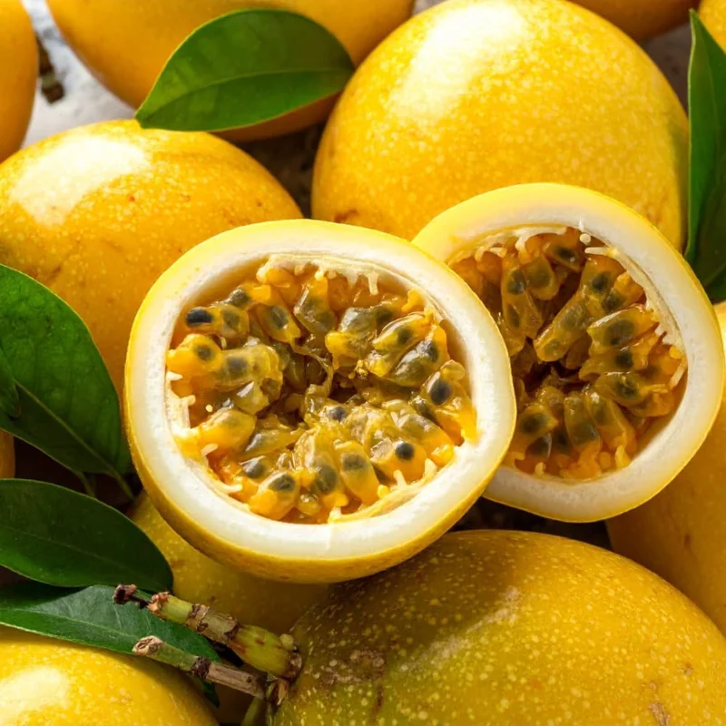 Yellow Passion Fruit Live Plant - 4 Inch Pot, 8-12 Inch Tall Vine, Tropical, Outdoor - Image 2