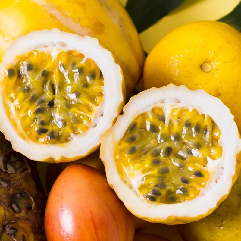 Yellow Passionfruit Plant Vine - Live Fruit Bearing Plant 6-8 Inches Tall for Outdoor - Image 3