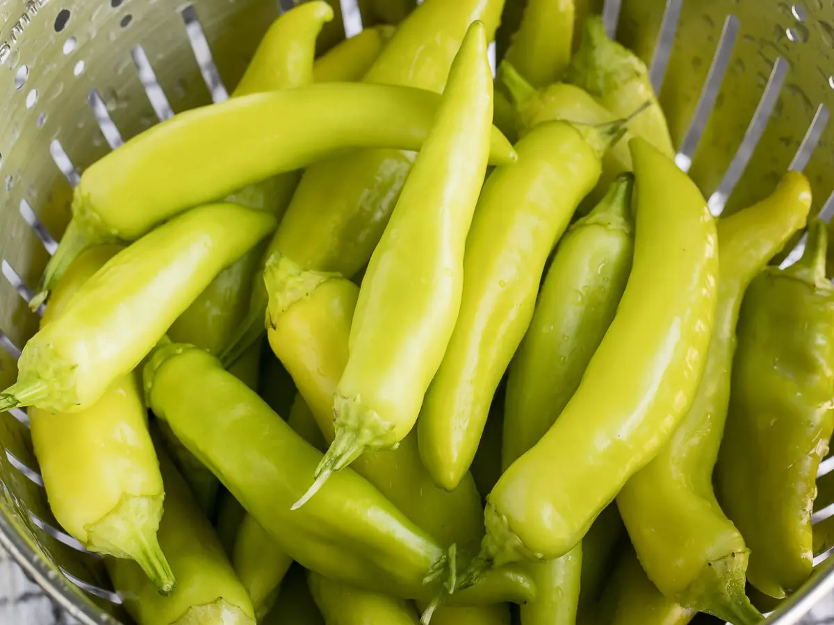 Top 12 Best Types of Peppers to Grow in Your Garden: Easy and High Yield