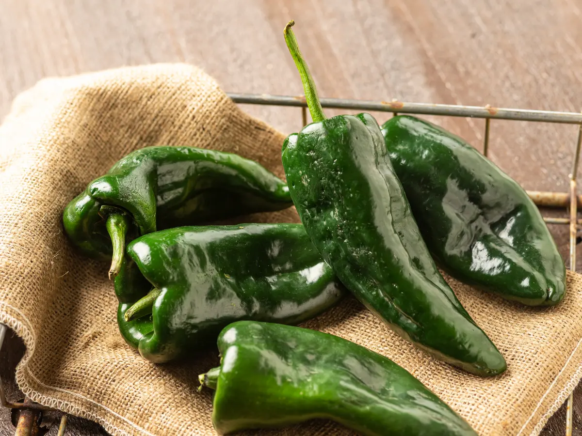 Top 12 Best Types of Peppers to Grow in Your Garden: Easy and High Yield