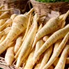All American Parsnip Seeds - 200 Count Heirloom Root Vegetable for Gardens - Image 1