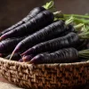 Black Nebula Carrot Seeds - Heirloom Deep Purple, 250 Seeds, Antioxidant-Rich - Image 1
