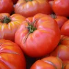 Brandywine Red Tomato Seeds - Heirloom Beefsteak Variety - 30 Seeds for Planting - Image 1
