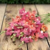 Chantilly Bronze Snapdragon Seeds - 30 Seeds, Elegant Bronze Flowers, Annual - Image 1