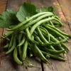 Contender Bush Bean Seeds - Heirloom Green Beans - 30 Seeds - Easy Grow - Image 1