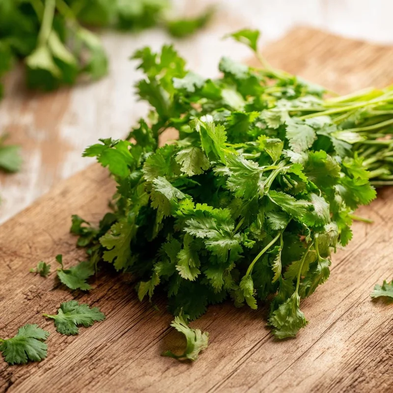 Coriander Cilantro Seeds - Bolt-Resistant Herb, 70 Seeds for Leaves & Spice - Image 1