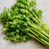 Cutting Celery Seeds - 200 Seeds, Flavorful Leaf Celery Herb for Gardens - Image 1