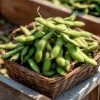 Edamame Seeds - Tender Soybean Seeds for Home Gardens - 25 Seeds - Image 1