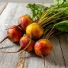 Golden Detroit Beet Seeds – 150 Heirloom Yellow Beet Seeds, Easy-to-Grow - Image 1