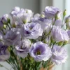 Lavender Lisianthus Seeds - Pale Lavender Eustoma Grandiflorum, 25 Seeds - Image 1