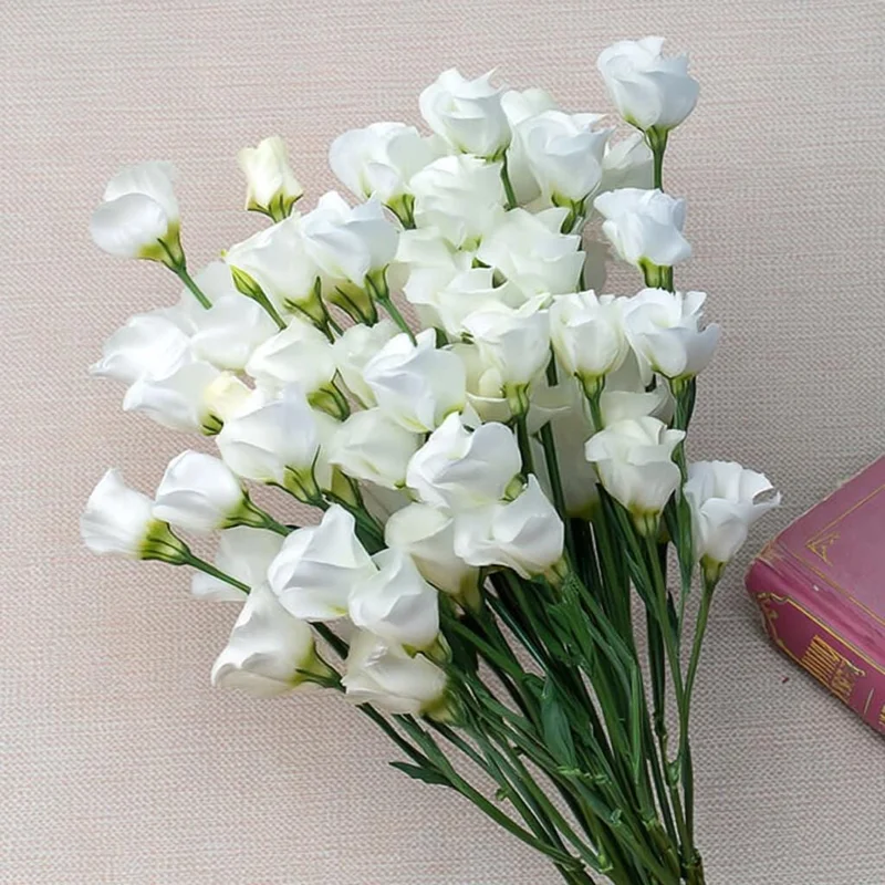 Lisianthus Solo White F1 Seeds - 25 Count - Pure White Elegant Blooms - Image 1