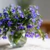 Lobelia Crystal Palace Seeds – Violet-Blue Edging Flowers, 50 Seeds - Image 1