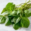 Malabar Spinach Seeds - Heat-Tolerant, Edible Climbing Vine (50 Seeds) for Warm Climates - Image 1