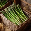 Mary Washington Asparagus Seeds - 50 Heirloom Perennial Vegetable Seeds - Image 1