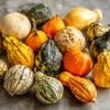 Mixed Gourd Seeds - Cucurbita Pepo - Colorful Garden Decor - 15 Seeds - Image 1