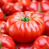 Mortgage Lifter Tomato Seeds - Heirloom Beefsteak Variety - 30 Seeds - Image 1