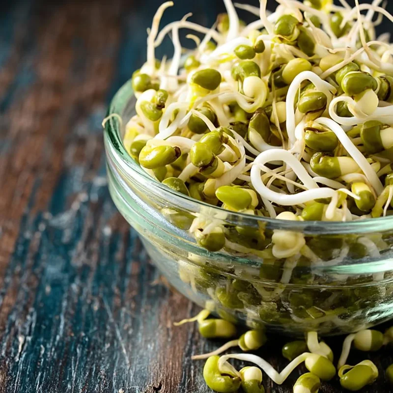 Mung Bean Sprouting Seeds - 500 Count, Nutrient-Rich, Easy to Sprout - Image 3
