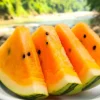 Organic Orange Tendersweet Watermelon Seeds - 15 Seeds - Sweet, Juicy, Vibrant Orange Flesh - Image 1