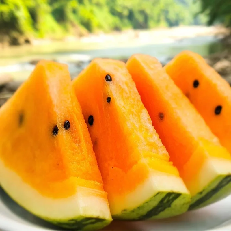 Organic Orange Tendersweet Watermelon Seeds - 15 Seeds - Sweet, Juicy, Vibrant Orange Flesh - Image 1