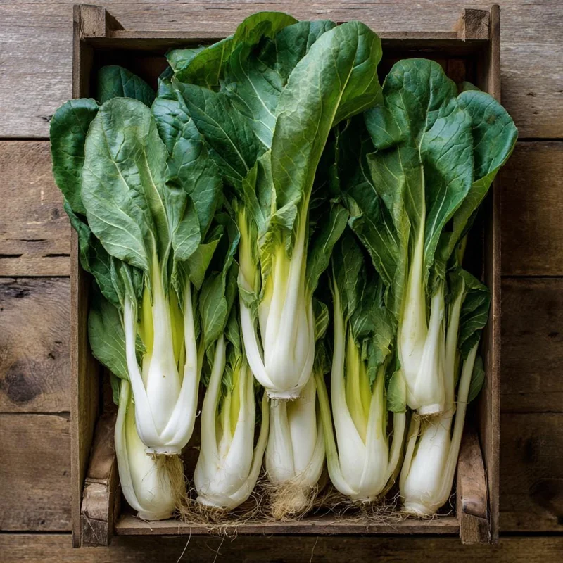 Pak Choi Chinese Cabbage White Stem Seeds, 150 Seeds, Crisp Asian Green - Image 2