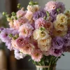 Pastel Mix Stock Flower Seeds - 25 Seeds, Edible, Sweet-Scented Blooms - Image 1
