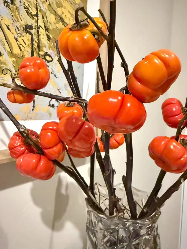 Pumpkin On A Stick Seeds - Heirloom Ornamental Eggplant (15 Seeds) - Solanum integrifolium - Image 2