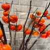 Pumpkin On A Stick Seeds - Heirloom Ornamental Eggplant (15 Seeds) - Solanum integrifolium - Image 1